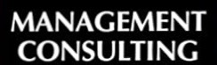Management Consulting